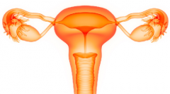 女性为什么要保养卵巢，有何重要意